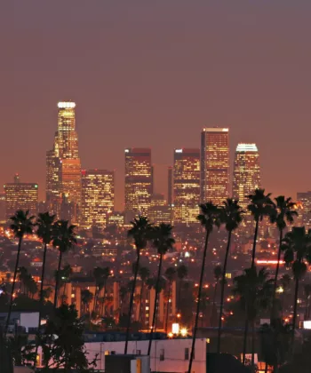 A nighttime view of a city skyline featuring tall, brightly lit skyscrapers against a dusky sky. The foreground is dotted with silhouetted palm trees, adding to the urban scenic vista. - Hausion