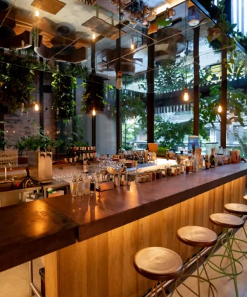 A chic bar with a long wooden counter and high stools, adorned with hanging plants and warm lighting. Bottles and glasses are neatly arranged behind the bar. Large windows offer a view of lush greenery outside, creating a cozy atmosphere. - Hausion