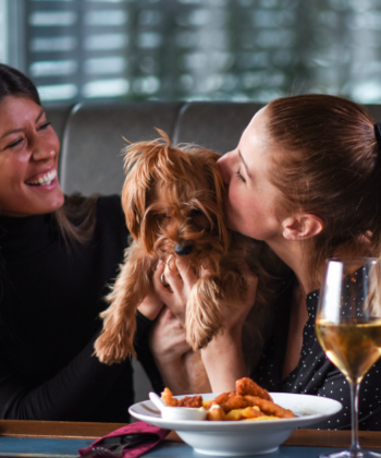 Two women at a restaurant table share a joyful moment with a small dog. One woman is holding the dog, and the other kisses it. There are plates of food and a glass of white wine on the table. Both women are smiling and appear to be happy. - Hausion