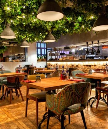 A cozy restaurant with wooden tables and a variety of patterned chairs. The ceiling is adorned with hanging greenery and pendant lights, creating a warm, inviting atmosphere. In the background, there is an open kitchen with chefs preparing meals. - Hausion