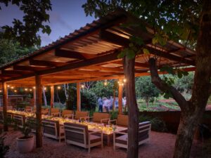 9 Health Benefits of Eating Farm-to-Table